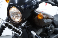 Brown Harley Davidson Street 750