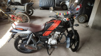 Bajaj V12