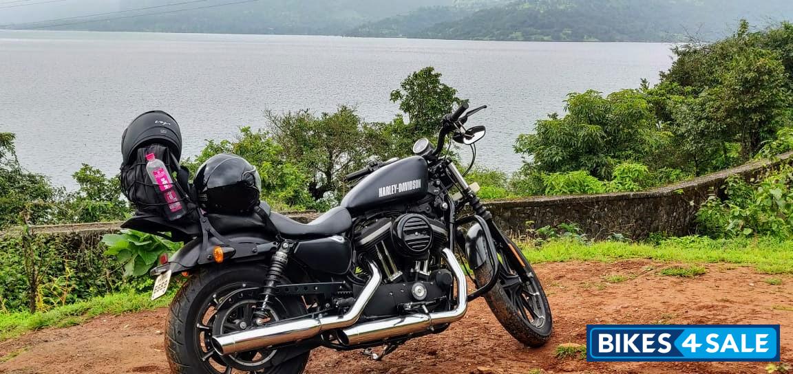 Black Harley Davidson Iron 883