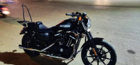 Black Harley Davidson Iron 883