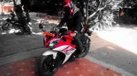 Red N White Yamaha YZF R15 V2