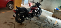 Bajaj Avenger Street 150 2016 Model