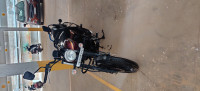 Black & Dark Red Bajaj Avenger Street 150