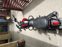 Ebony Black Bajaj V15