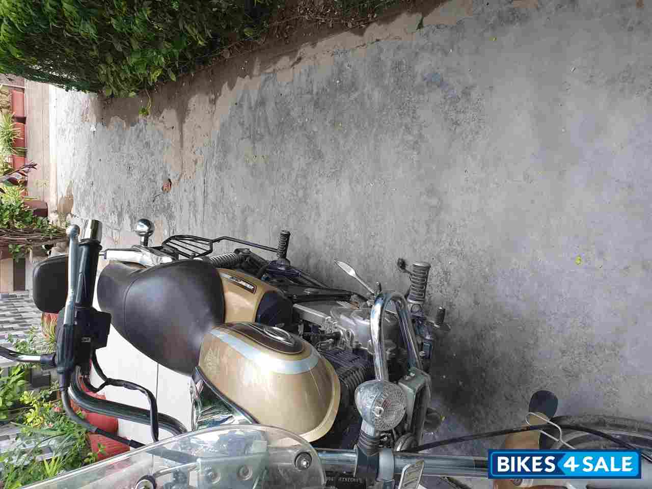 Golden Bajaj Avenger Cruise 220