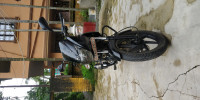 Black Bajaj Pulsar 150 DTSi