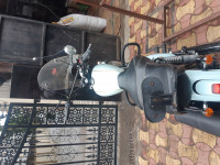 Hailey Tails Blue Jawa forty two