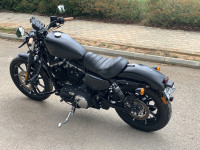 Harley Davidson Iron 883 2020 Model