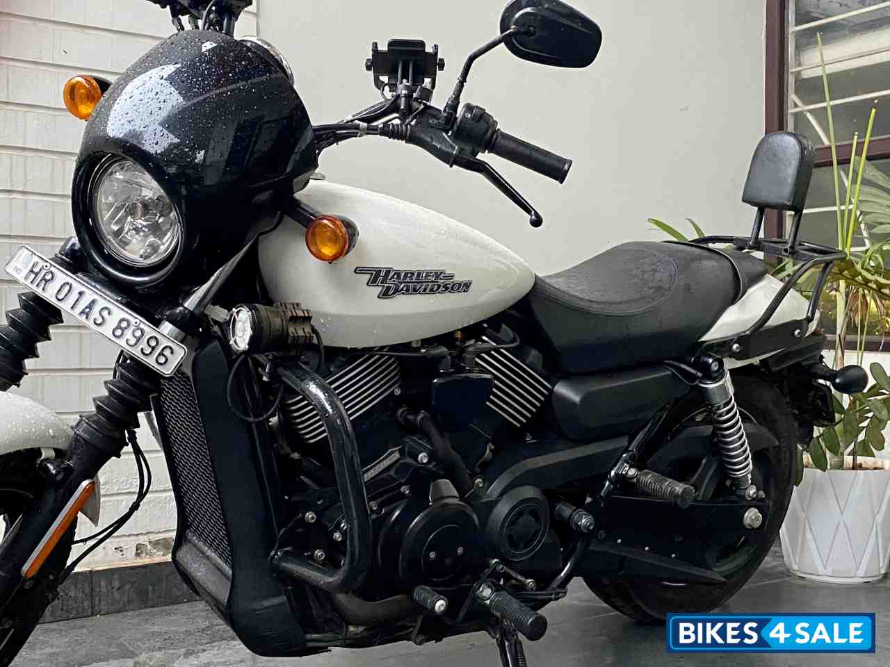 Pearl White Harley Davidson Street 750