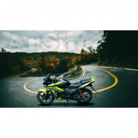 Honda CBF Stunner 2011 Model