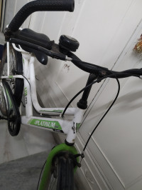 Bicycle  Platinum Nxt Mountain Bike