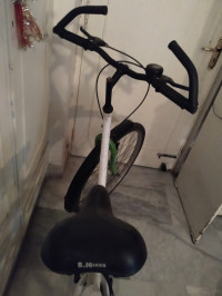 Bicycle  Platinum Nxt Mountain Bike