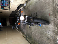 Black Harley Davidson Roadster