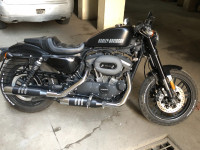 Black Harley Davidson Roadster