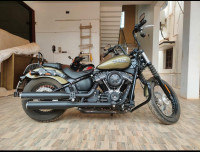 Olive Green Harley Davidson Street Bob