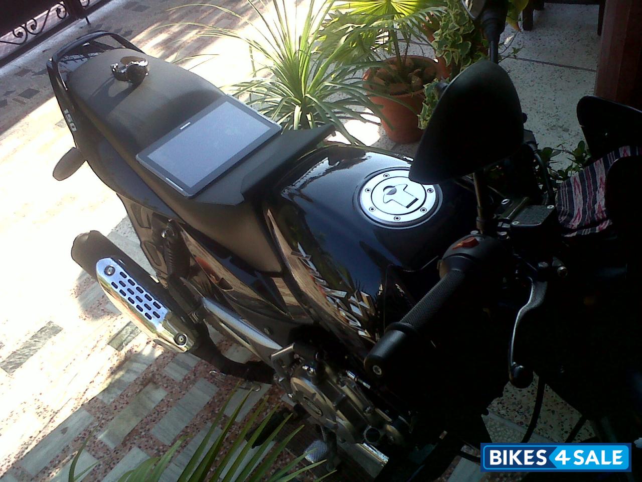 Black Bajaj Pulsar 150 DTSi