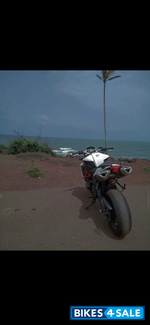 White Benelli TNT 600 i