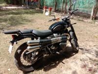 Triumph Street Scrambler 2019 Model