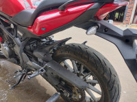 Red Benelli TNT 300