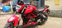 Red Benelli TNT 25