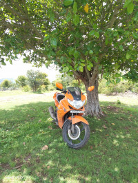 Vibrant Orange Hero Karizma ZMR