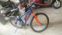 Blue Bicycle Decathlon