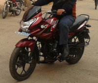 Bajaj Discover 150 F 2014 Model