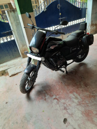 UM Renegade Sports S 2019 Model