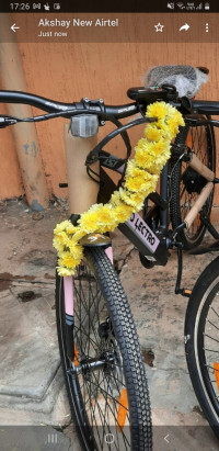 Hero Cycles Lectro Lady Glide