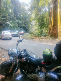 Black Harley Davidson Fat Boy