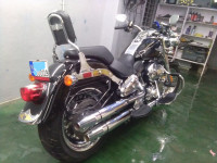 Black Harley Davidson Fat Boy