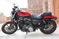 Harley Davidson Iron 883 2019 Model