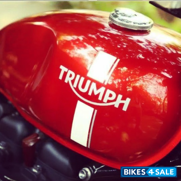 Cranberry Red Triumph Street Twin