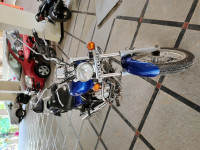 Bajaj Avenger 220 DTS-i