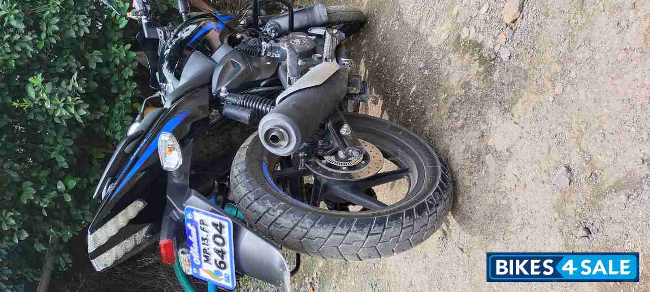 Black Blue Bajaj Pulsar 150 Twin Disc BS6