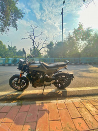 Grey Husqvarna Svartpilen 250 2020