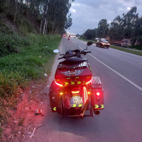 Megenta And Black Harley Davidson Street 750