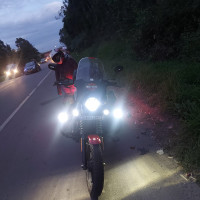 Megenta And Black Harley Davidson Street 750