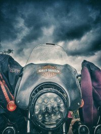 Megenta And Black Harley Davidson Street 750