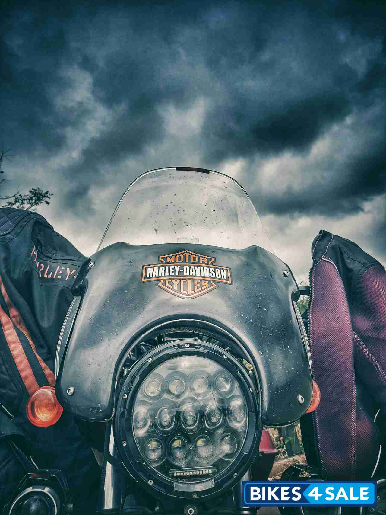 Megenta And Black Harley Davidson Street 750