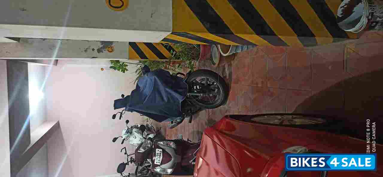 UM Renegade Sports S