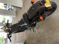 Harley Davidson Iron 883