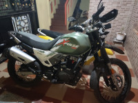 Mat Green Hero XPulse 200 BS6
