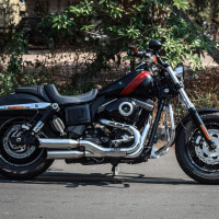 Harley Davidson Dyna Fat Bob FXDF 2014 Model