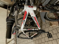 Bicycle Fantom Typhoon 2013 Model