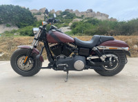 Brown Harley Davidson Fat Bob