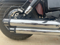 Brown Harley Davidson Fat Bob