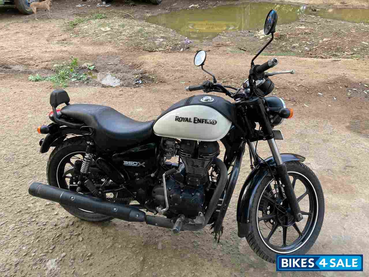 Whimsical White Royal Enfield Thunderbird X 350