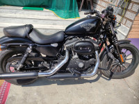 Black Denim Harley Davidson Iron 883