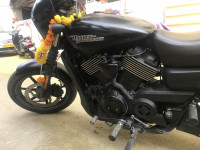 Harley Davidson Street 750